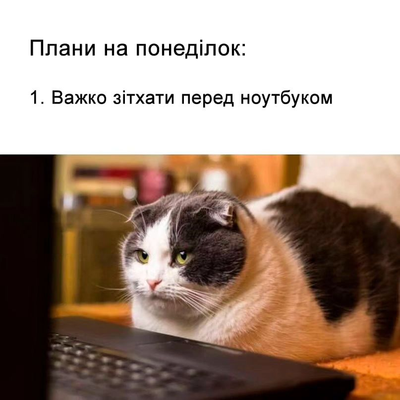 мем про понедельник