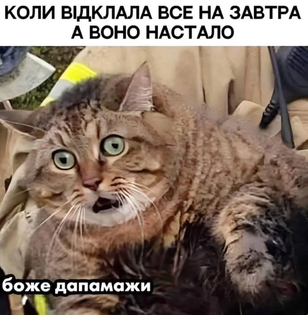 мемы про прокрастинацию