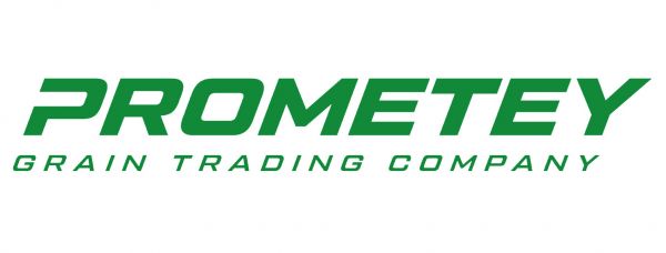 Logo Prometey