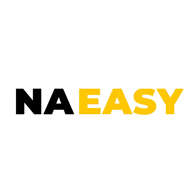 Logo NA EASY
