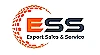 Export Sales & Service logo