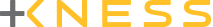 Logo НЕСС ГРУП
